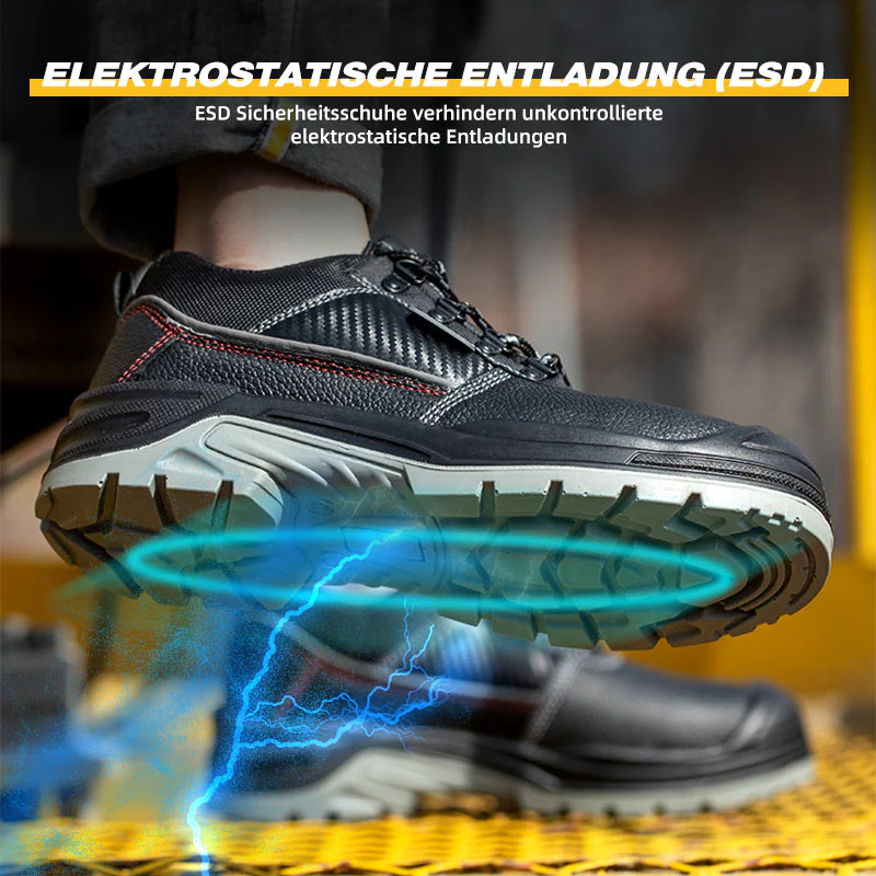 Vorschaubild 5